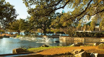 Lady Bird Lake