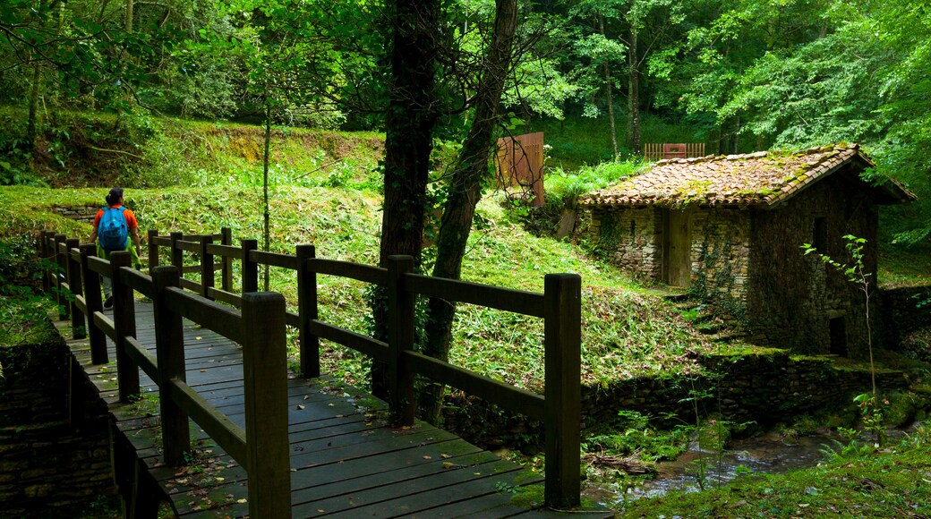 Waterwheel. Pagoeta Natural Park. Aia Valley. Gipuzkoa. Basque Country. Spain