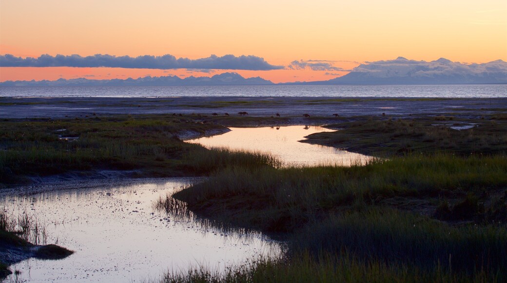 Tony Knowles Coastal Trail showing wetlands, landscape views and a sunset
