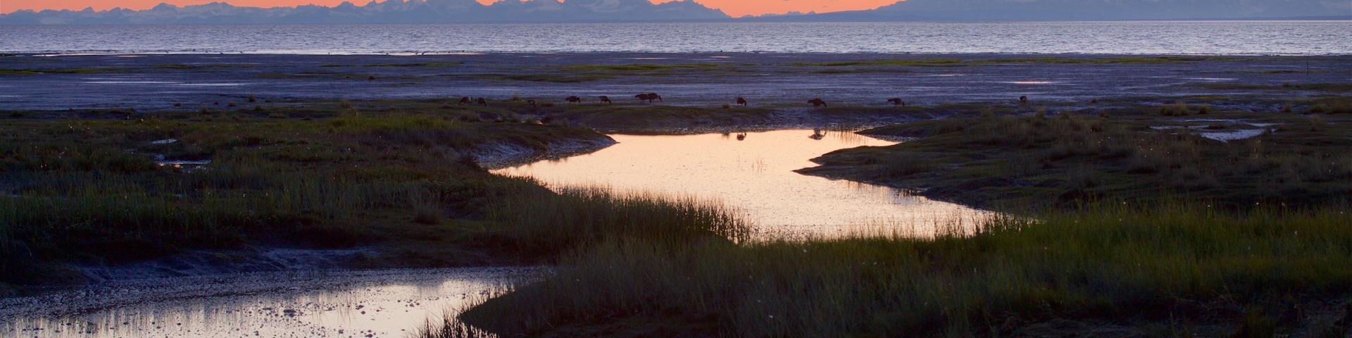 Tony Knowles Coastal Trail showing wetlands, landscape views and a sunset