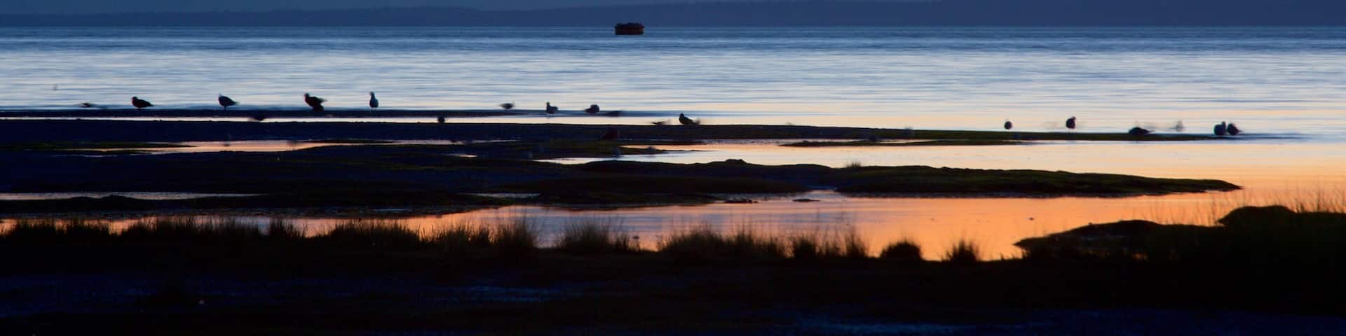 Tony Knowles Coastal Trail som viser en sø eller et vandhul, en solnedgang og udsigt over landskaber