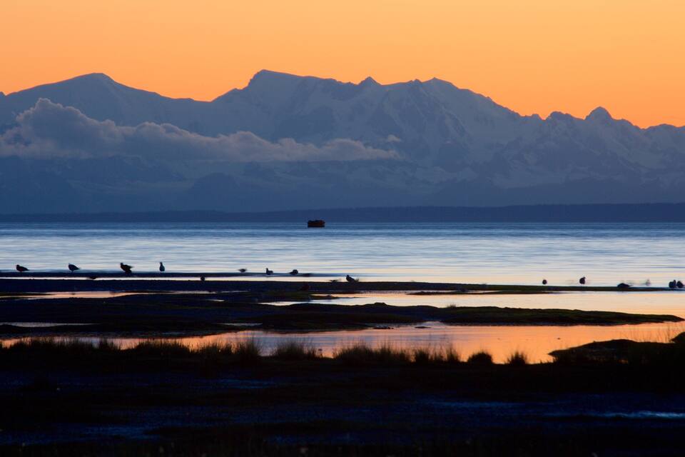 Un coucher de soleil sur un lac paisible, avec des montagnes en arrière-plan et plusieurs oiseaux sur la rive.
