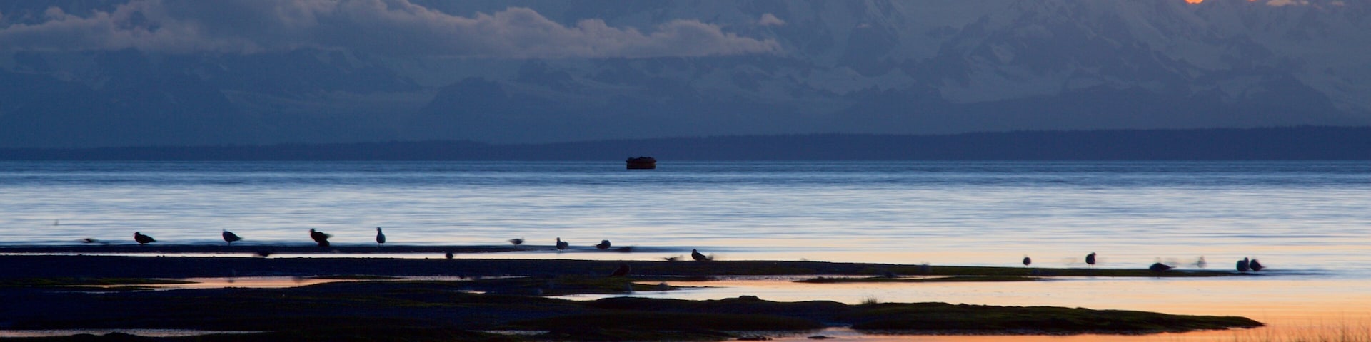 Tony Knowles Coastal Trail 呈现出 湖泊或水池, 山水美景 和 夕陽