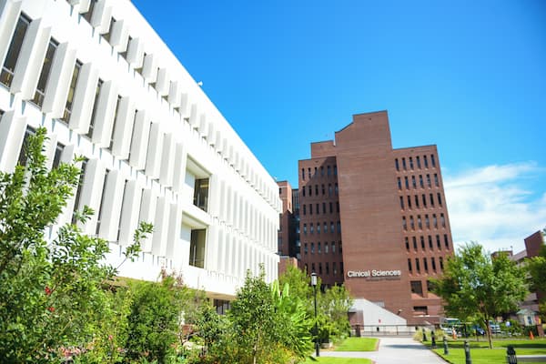 Charleston_MedicalUniversityofSouthCarolina_6162782_04