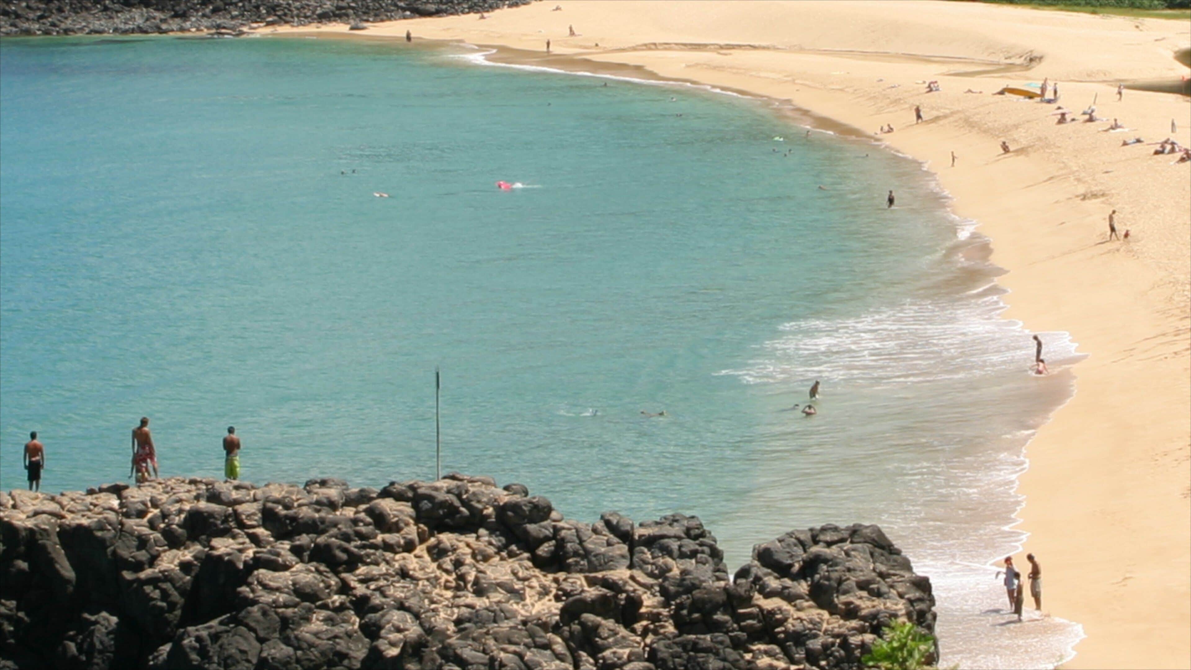 Waimea Bay featuring a sandy beach and general coastal views as well as a small group of people