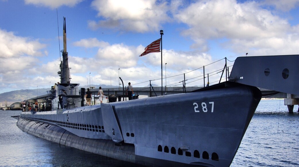 USS Bowfin, a Balao-class submarine, was a boat of the United States Navy named for the bowfin fish. Since 1981, she has been open to public tours at the USS Bowfin Submarine Museum and Park in Pearl Harbor, Hawaii, next to the USS Arizona Memorial Visitor Center.