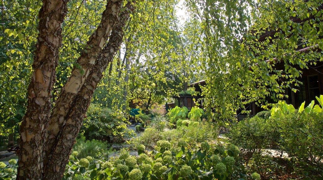 Oliver Winery featuring a garden