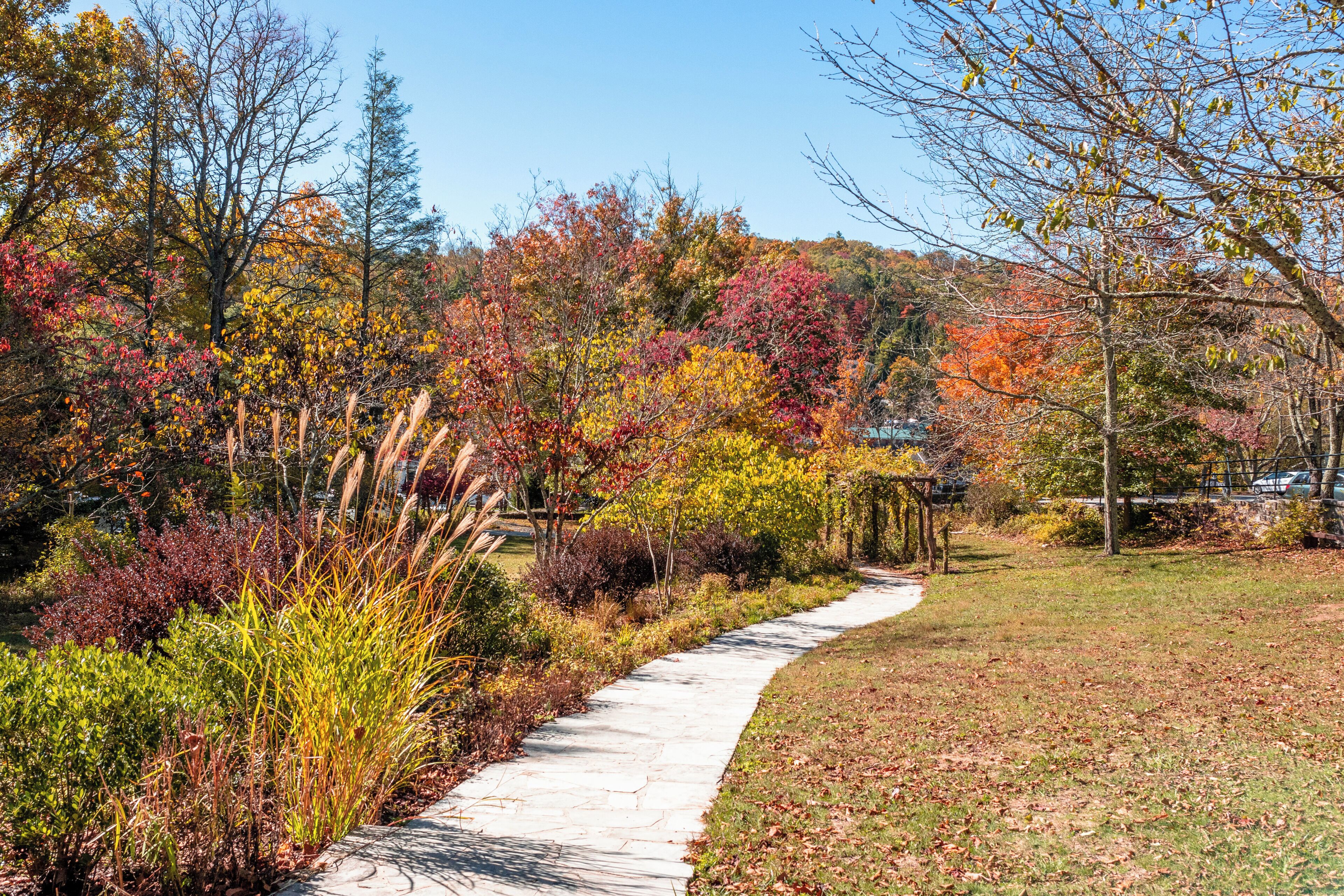 丹尼爾布恩原生花園