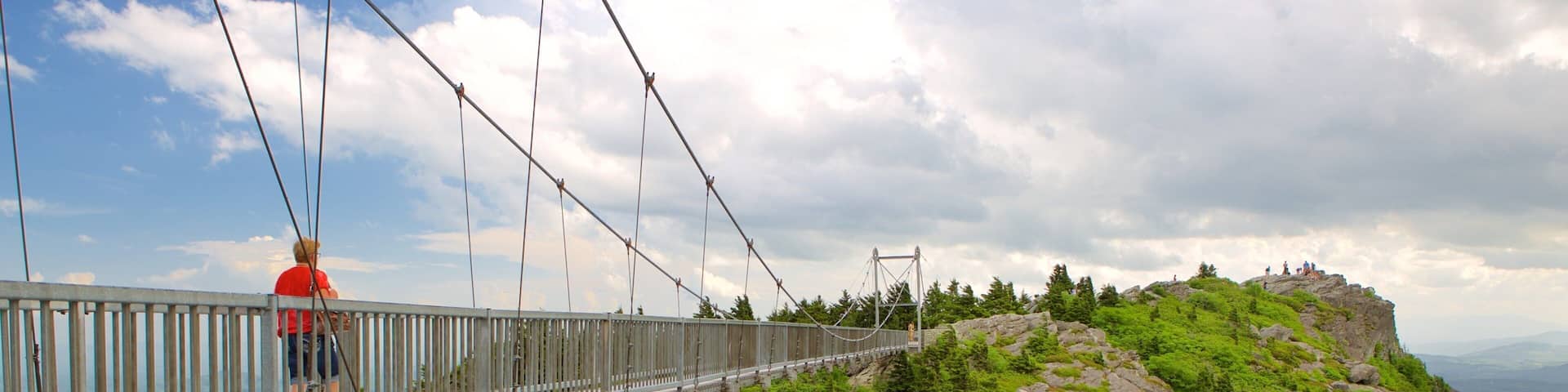 Grandfather Mountain mettant en vedette passerelle ou pont suspendu aussi bien que homme
