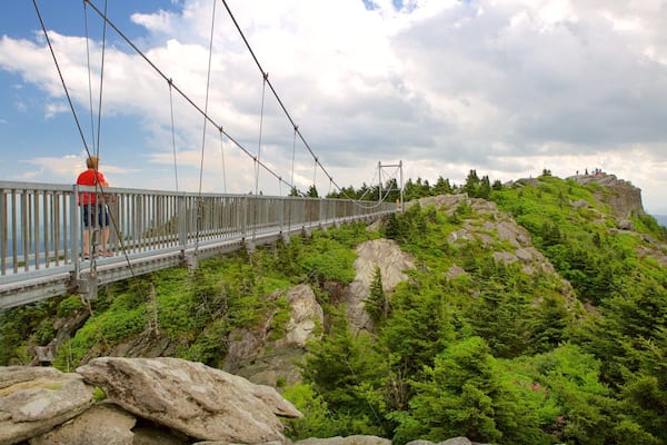 Grandfather Mountain mit einem Hängebrücke oder Baumkronenpfad sowie einzelner Mann