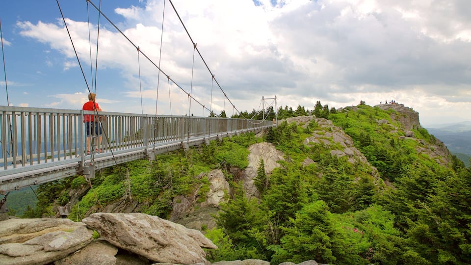 A suspension bridge over a rocky mountain with lush greenery.
