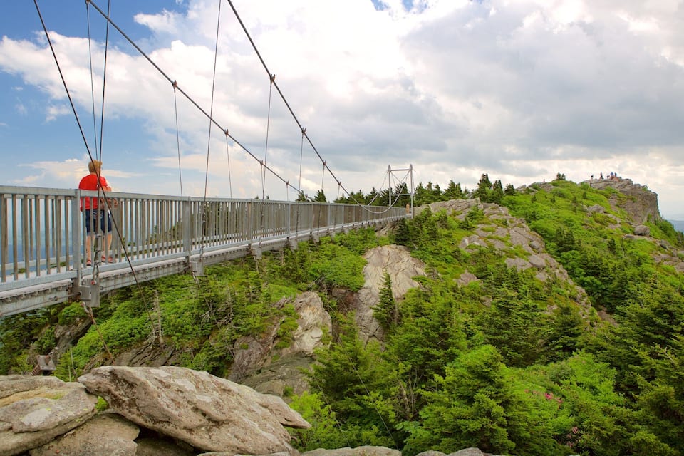 Un pont suspendu enjambant une montagne rocheuse, parsemée d’une végétation luxuriante.