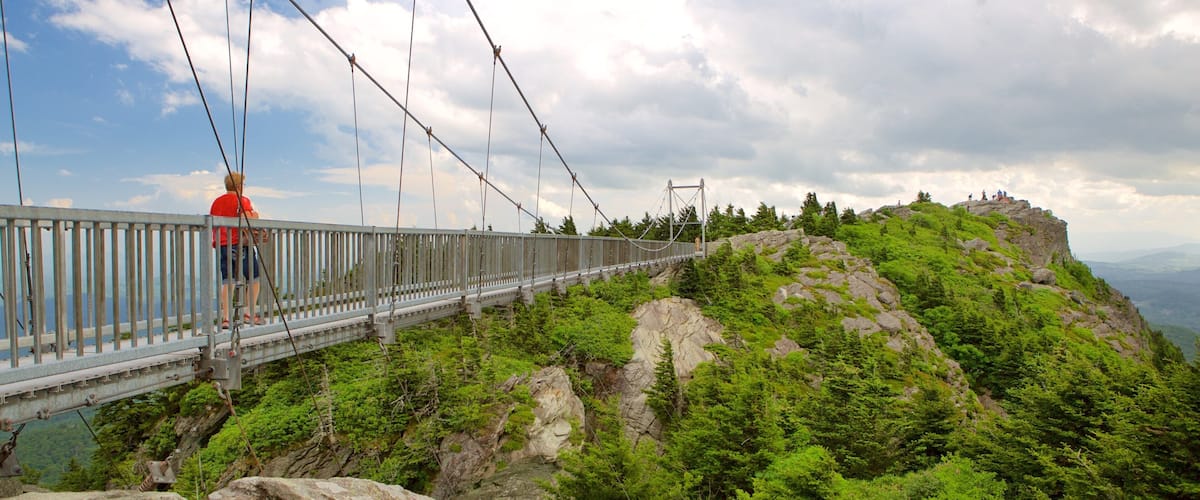 A suspension bridge over a rocky mountain with lush greenery.