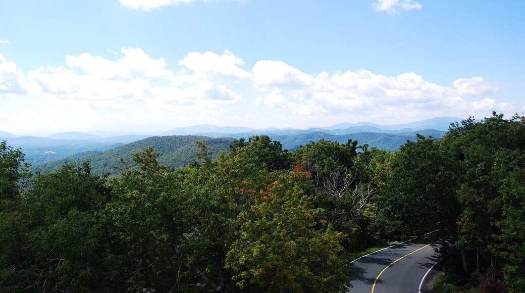 Grandfather Mountain State Park is a great place to explore and hike. There are a variety of different hikes available and you can also drive almost to the top of the mountain. This photo is on the way up the mountain where I climbed a huge bolder beside the road.