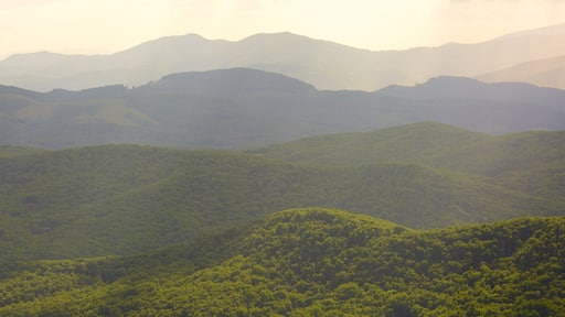 Grandfather Mountain showing mountains and forests