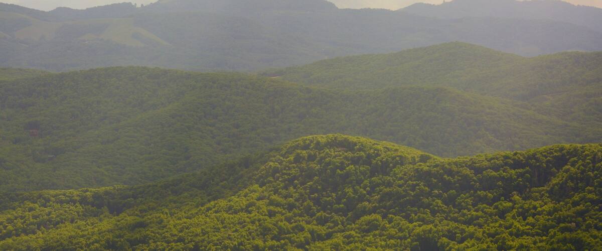 A mountainous landscape with dense green forests.