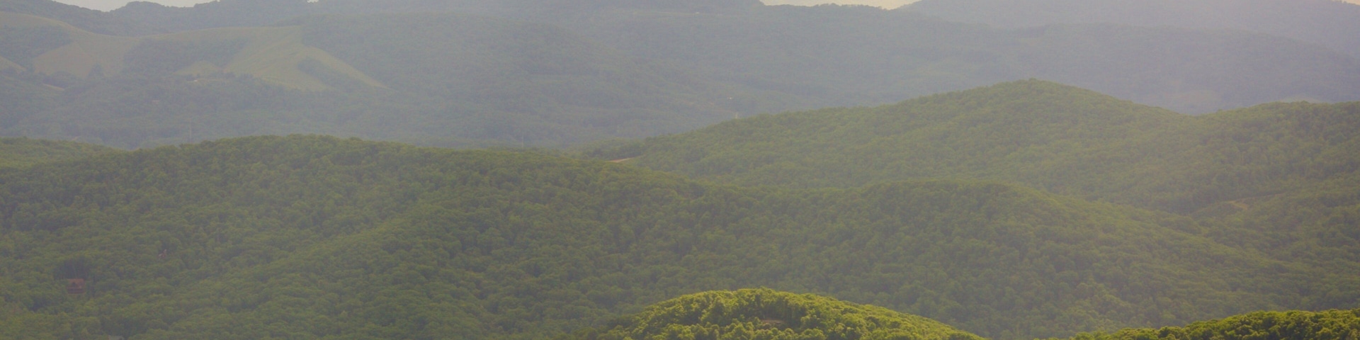 A mountainous landscape with dense green forests.