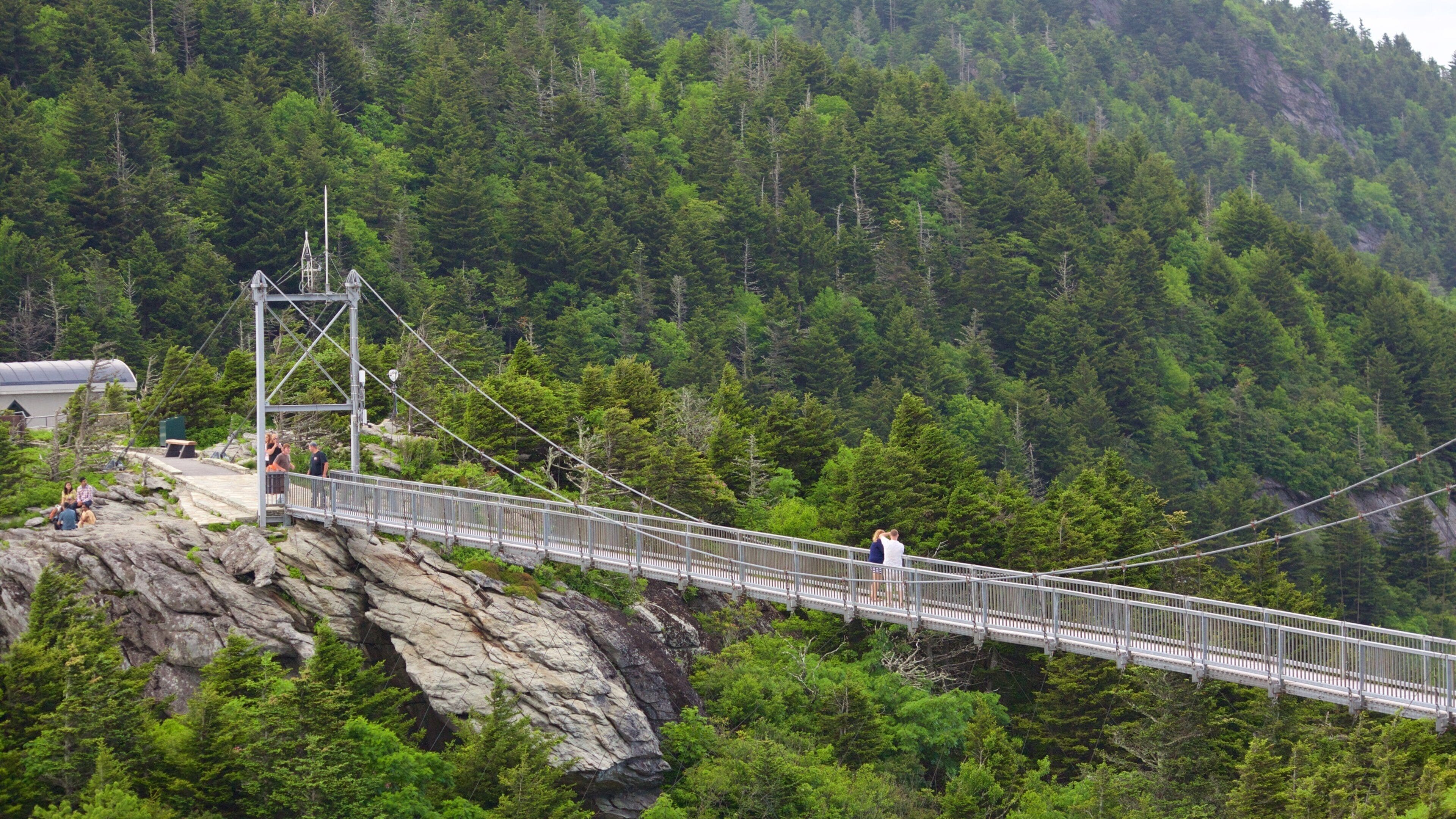 Grandfather Mountain ofreciendo un puente colgante o pasarela en las copas de los árboles