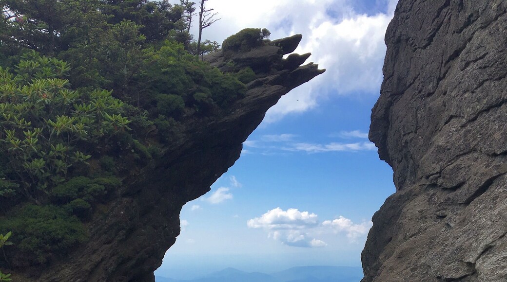 Just before climbing the final ladder to McRae Peak on Grandfather Mountain. It's like a tease to the views you're about to see.