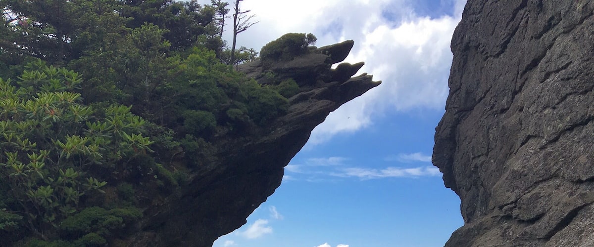 Just before climbing the final ladder to McRae Peak on Grandfather Mountain. It's like a tease to the views you're about to see.