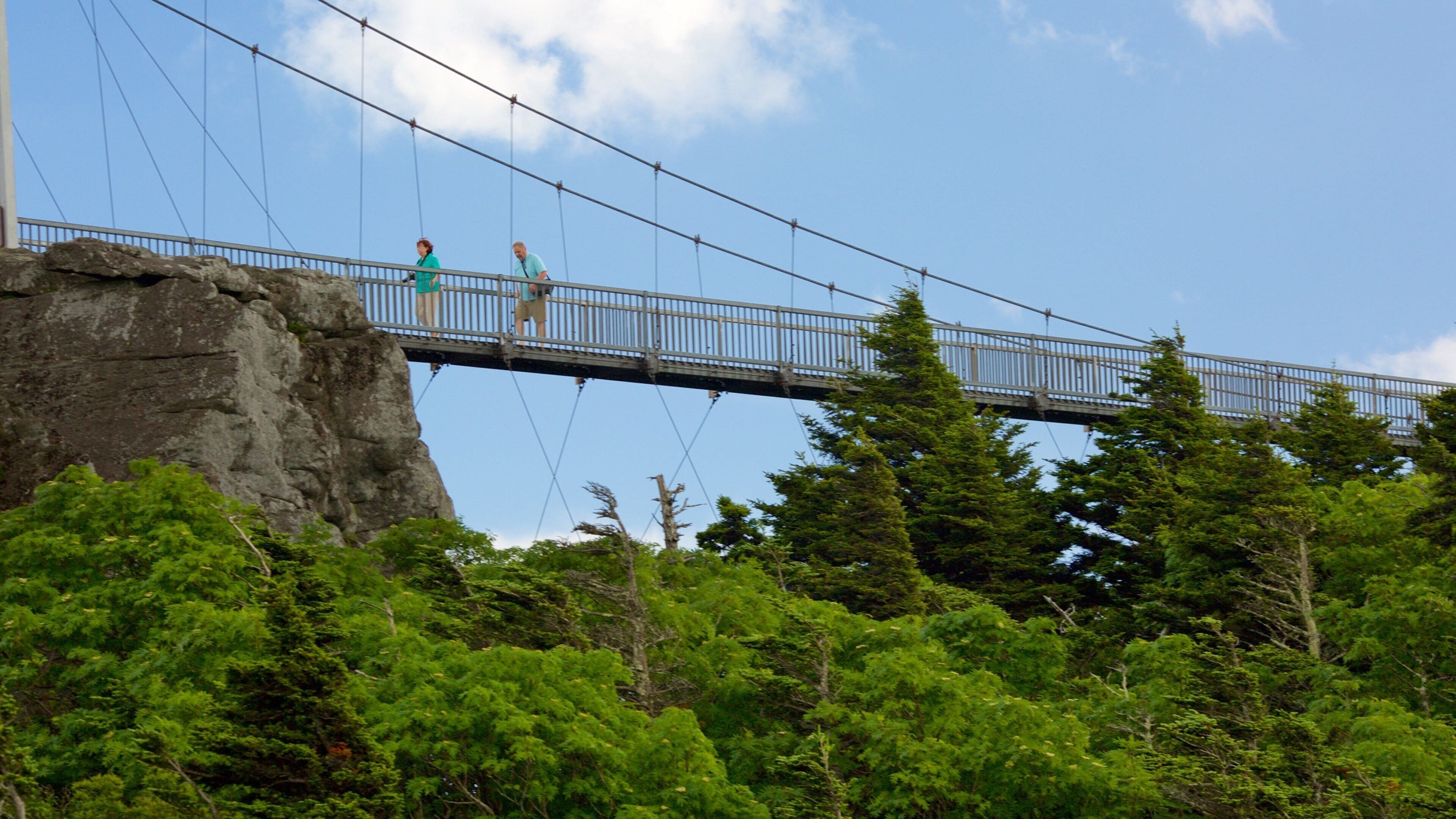 Grandfather Mountain Tours - Book Now | Expedia