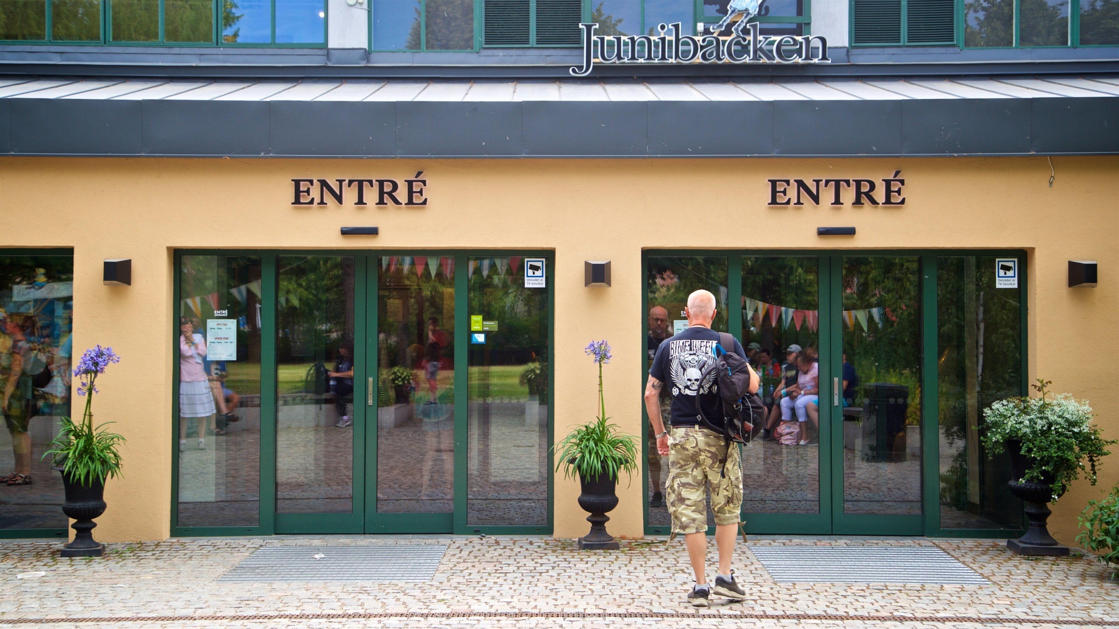 Junibacken showing signage and street scenes as well as an individual male