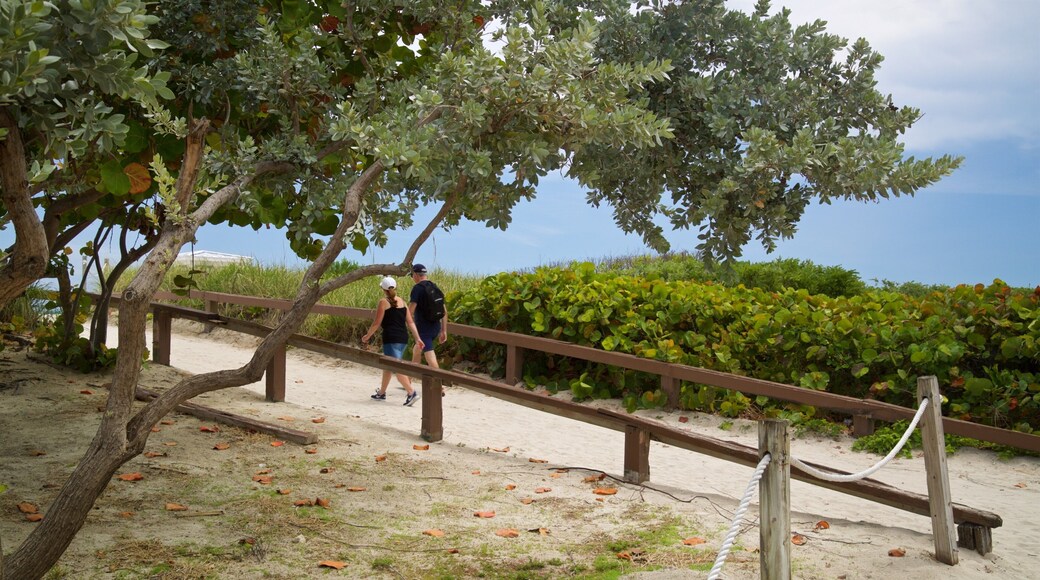 South Pointe Park featuring a beach and general coastal views as well as a couple