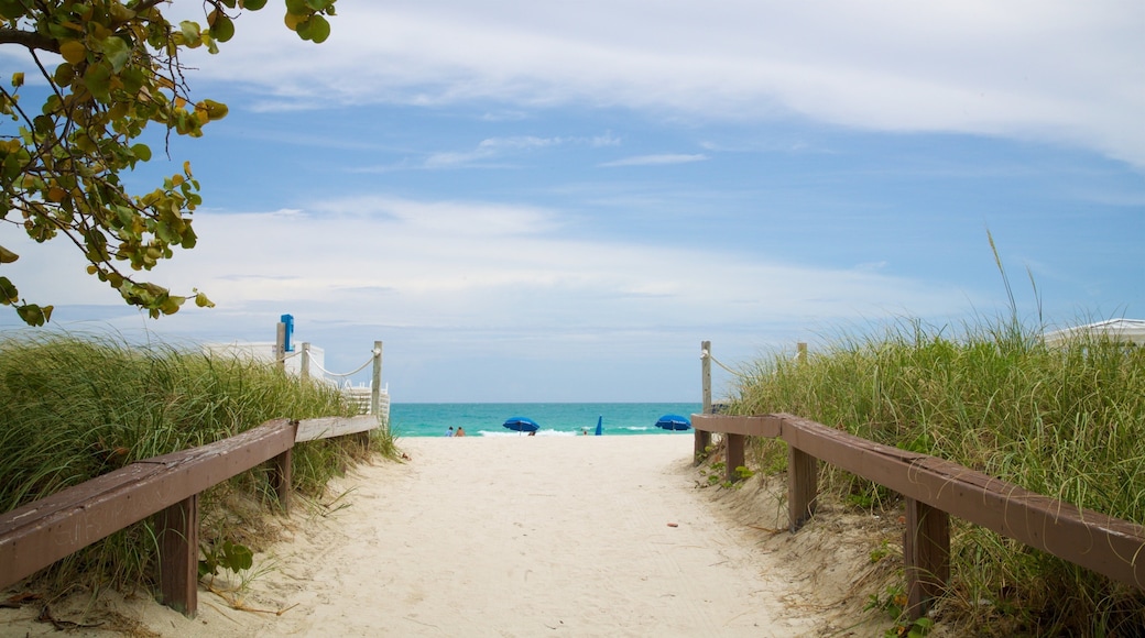 South Pointe Park which includes a sandy beach and general coastal views