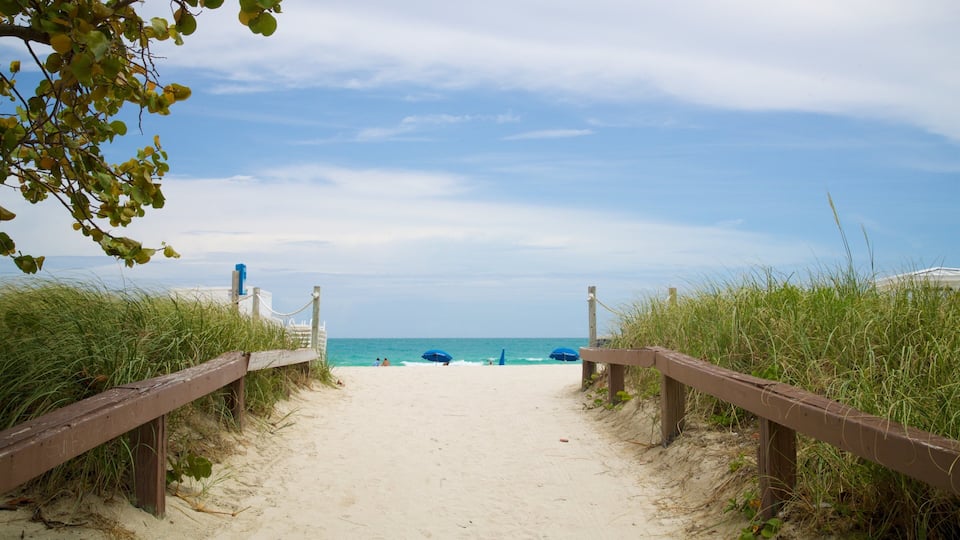 South Pointe Park which includes a sandy beach and general coastal views