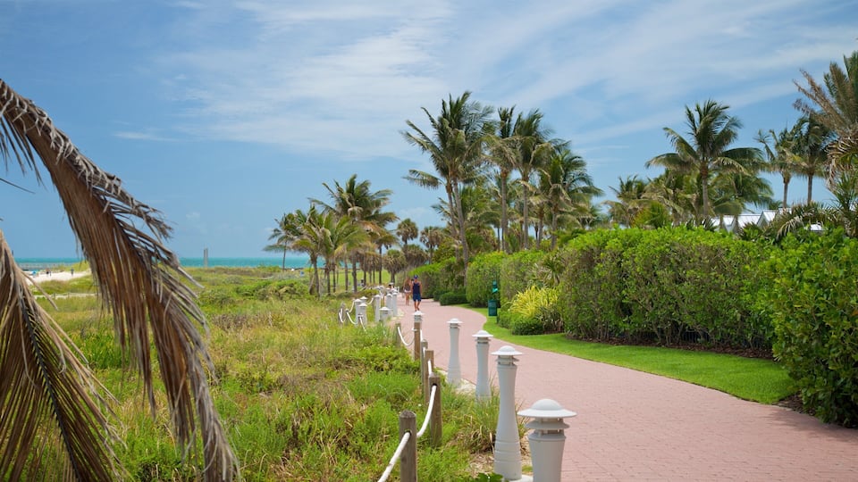 South Pointe Park which includes general coastal views