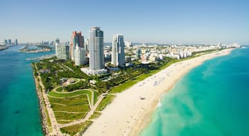 South Beach, Miami Beach. Florida. Aerial view. Paradise. South Pointe Park and Pier
