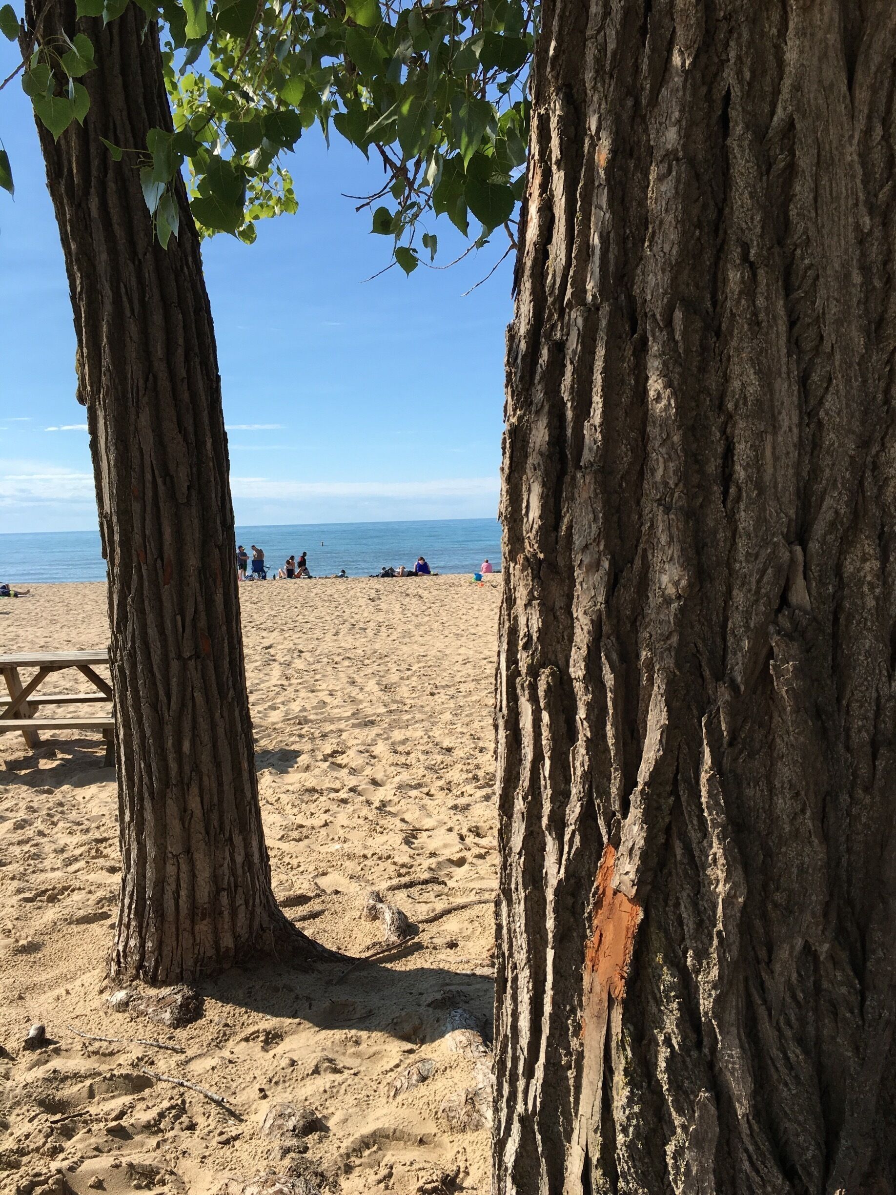 Michigan lake was a favorite stop and very much like the beach