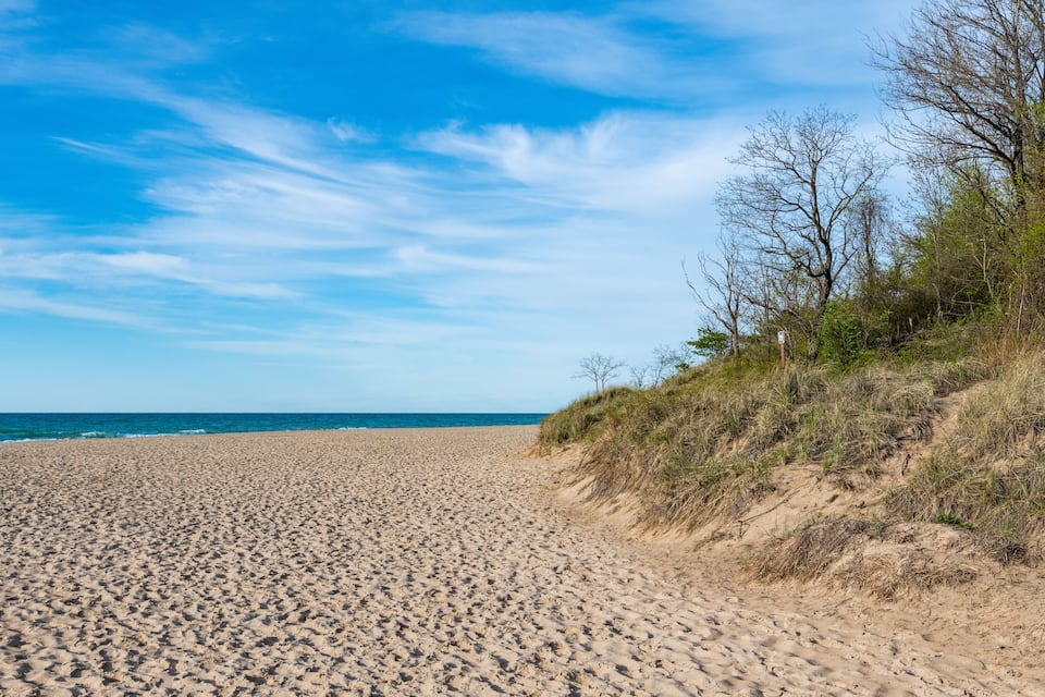A sandy beach with the ocean in the background and a grassy hill with trees.