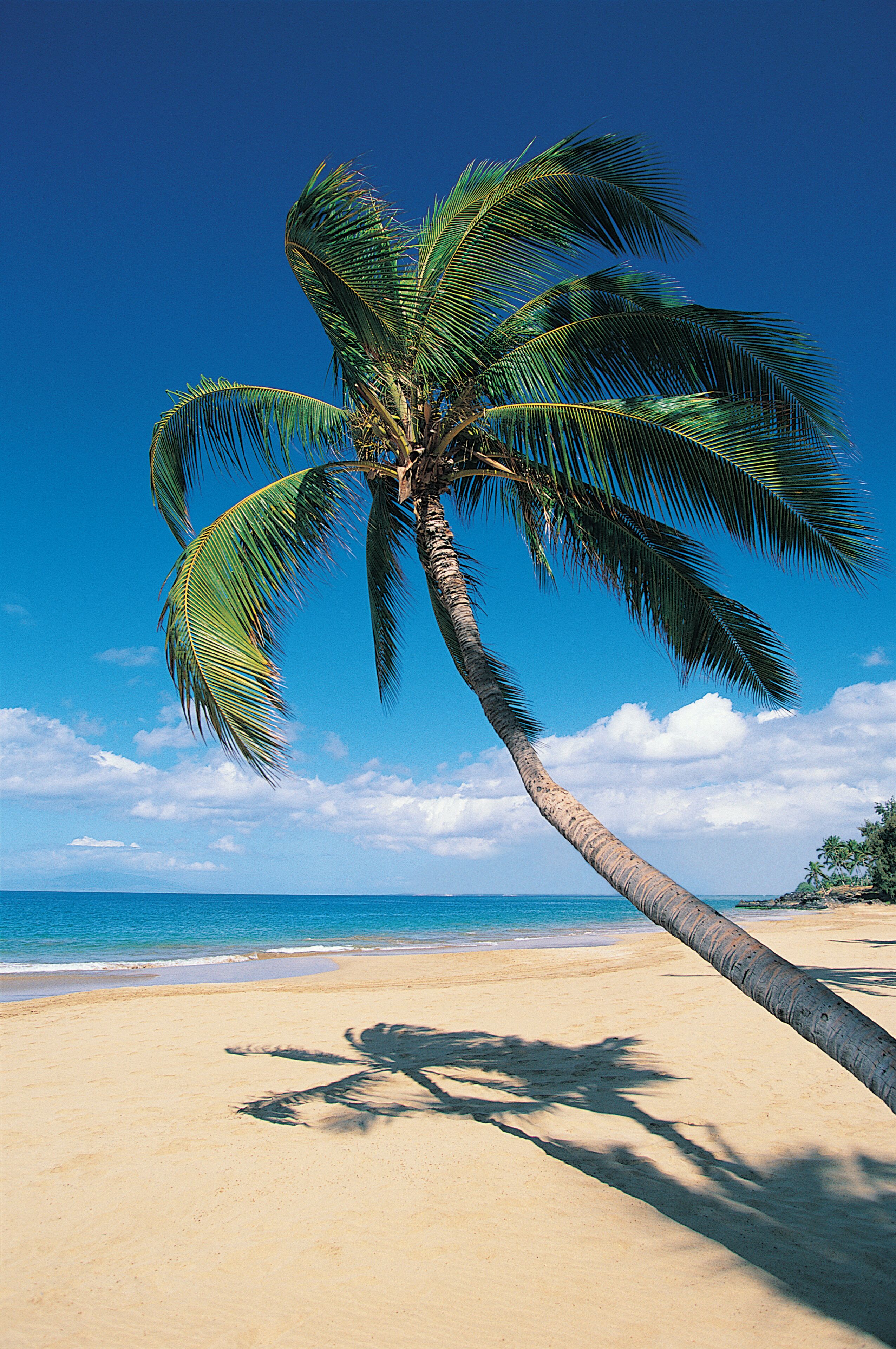 Kamaole Beach, Maui, Hawaiian Islands