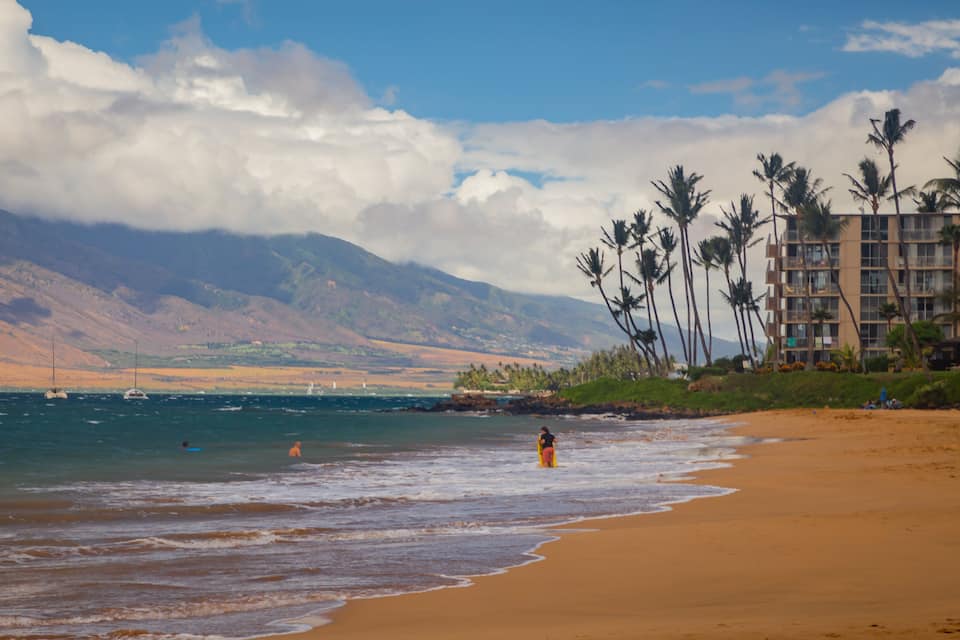 A beach with a sandy shore, ocean waves, palm trees, and a mountain range in the background.