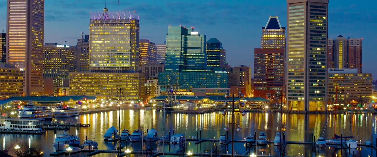 ๋ณผํฐ๋ชจ์ด ๋ดํญ ๋ง๋ฆฌ๋ ์ ํน์ง ๋ง์ฒ๋ฃจ, ์ผ๊ฒฝ ๊ณผ ๋์