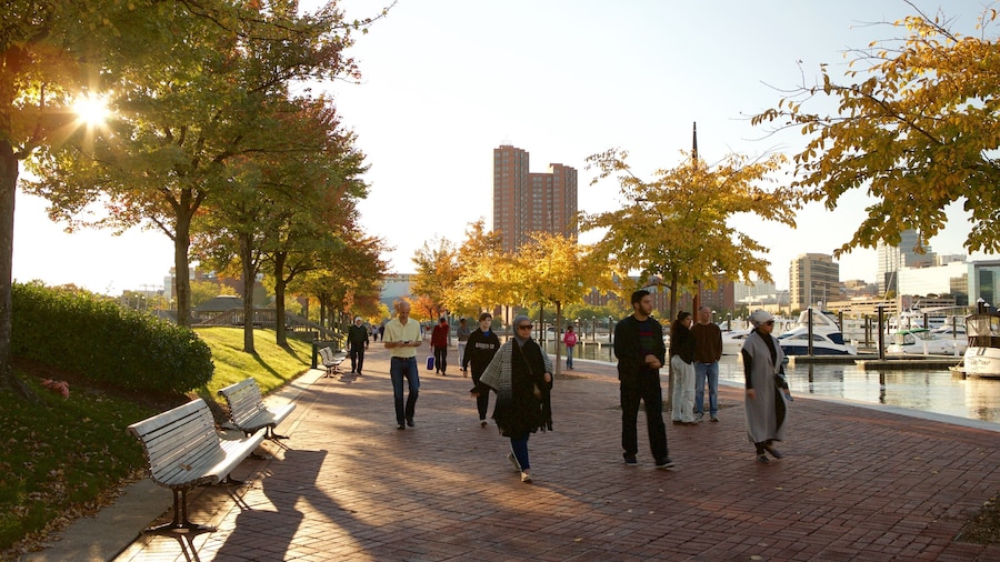 Baltimore Inner Harbor welches beinhaltet Bucht oder Hafen, Sonnenuntergang und Garten