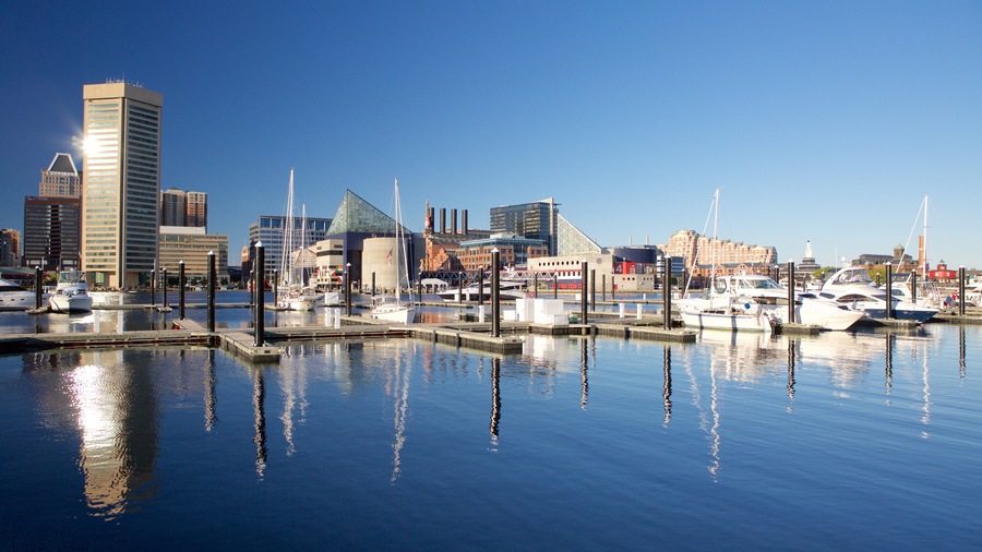 Baltimore Inner Harbor Marina showing skyline, a marina and a city