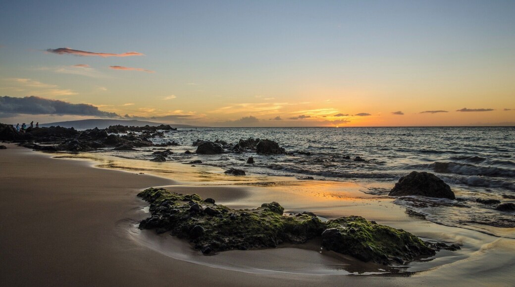 Go to this beach for the beautiful calm waters, a chance to swim close to a sea turtle, and stay to watch the sunset.
#lifeatexpedia #GreatOutdoors #Nature