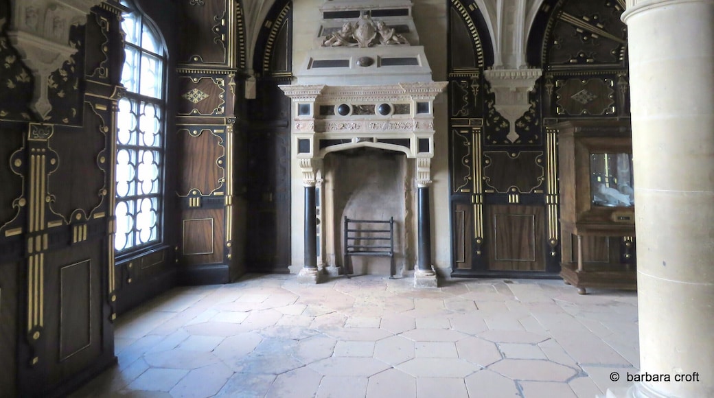 ANOTHER ORNATE ROOM AND FIREPLACE