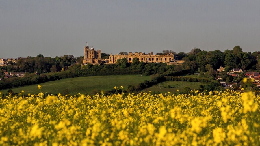 An English Heritage owned ruined castle in the heart of Derbyshire.
Has activities for children and re-enactments during the summer.
http://www.english-heritage.org.uk/visit/places/bolsover-castle/