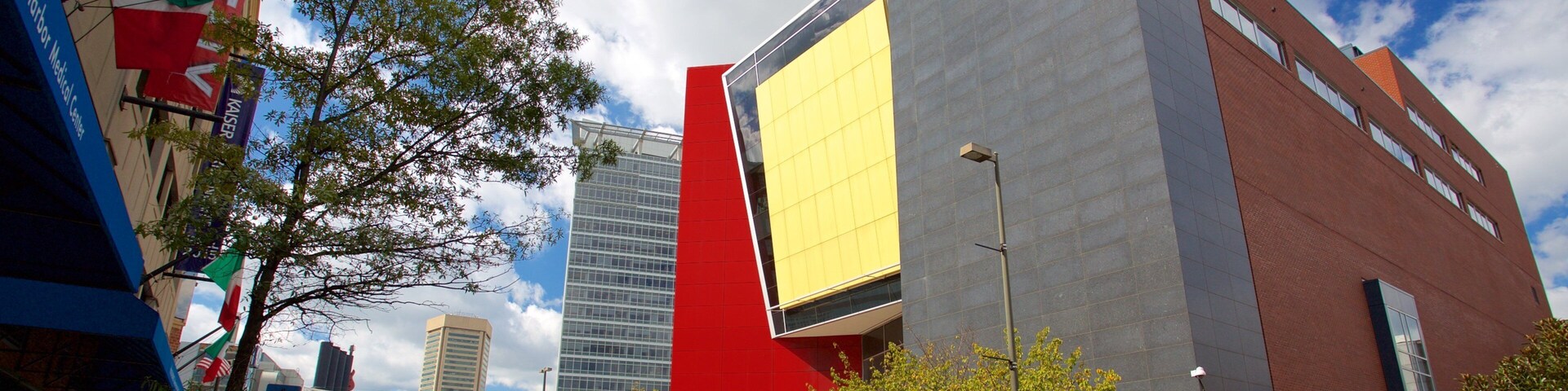 Museo Reginald F. Lewis que incluye una ciudad y arquitectura moderna