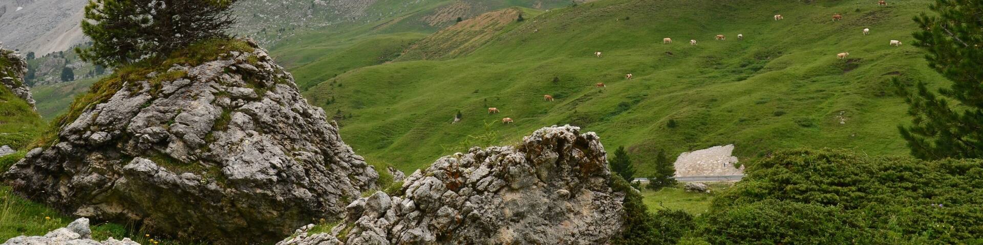 Station de ski de Ciampino-Sella mettant en vedette montagnes et scĂšnes tranquilles