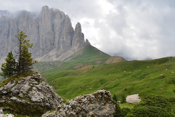 Station de ski de Ciampino-Sella mettant en vedette montagnes et scĂšnes tranquilles