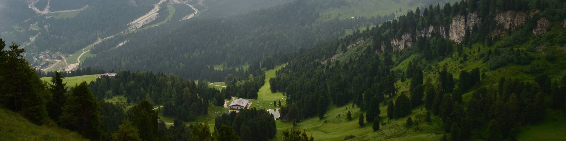 Ciampino-Sella Ski Area featuring forests, landscape views and mountains