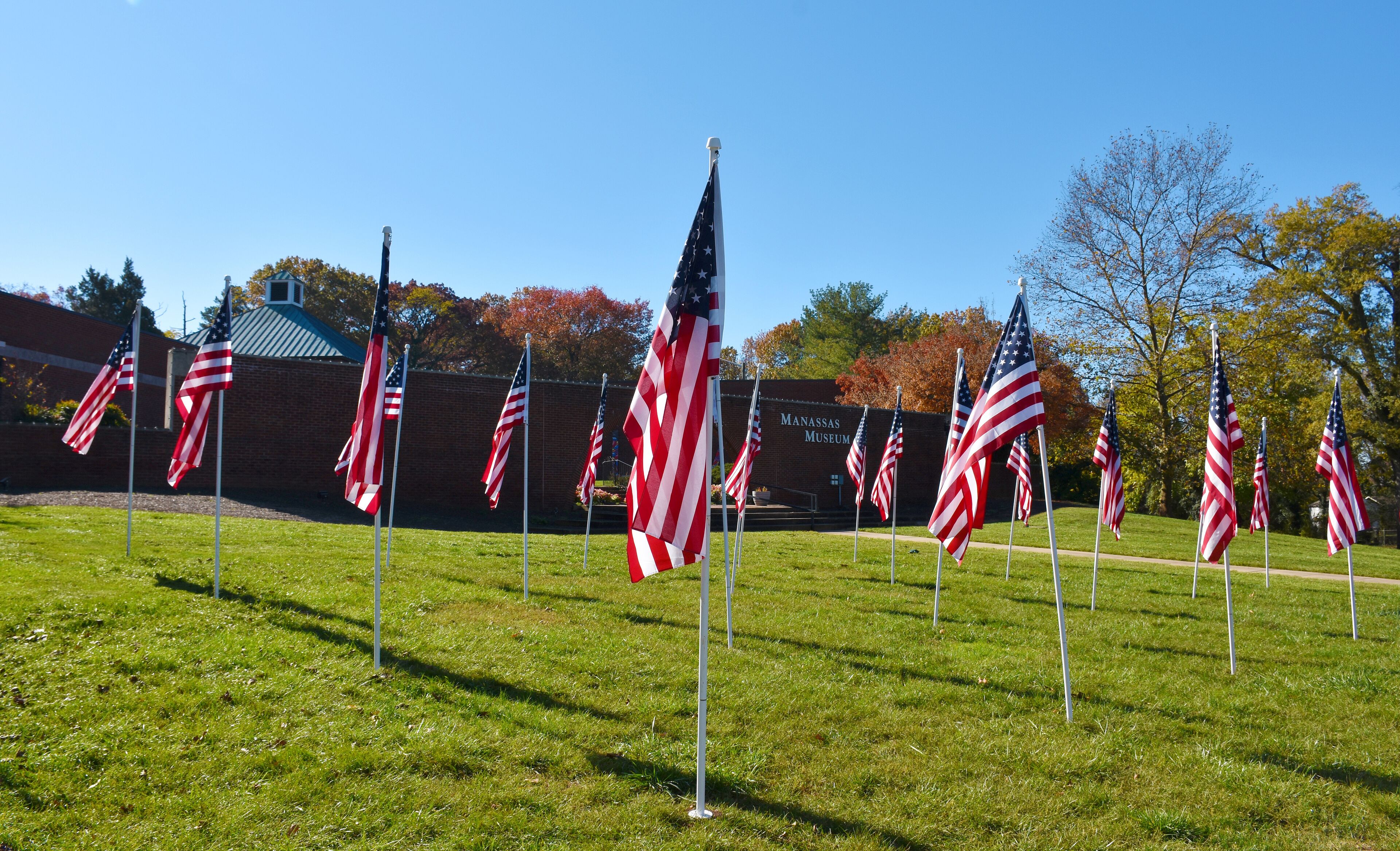 American flags in front of the Manasas Museum, Old Town Manassas, Virginia, USA