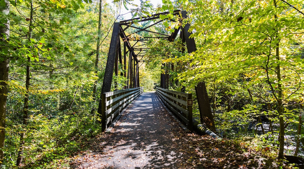 The Virginia Creeper Trail, the most popular bike route in the region. Abingdon, VA, USA