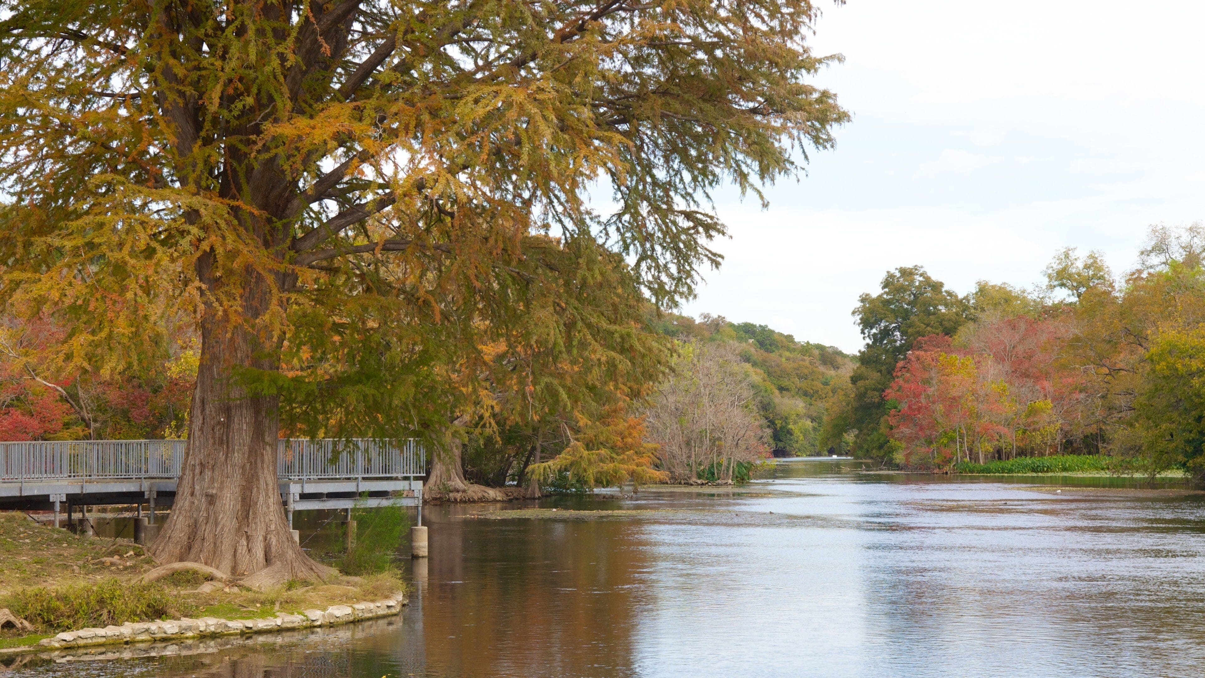 Landa Park featuring landscape views, a park and a lake or waterhole