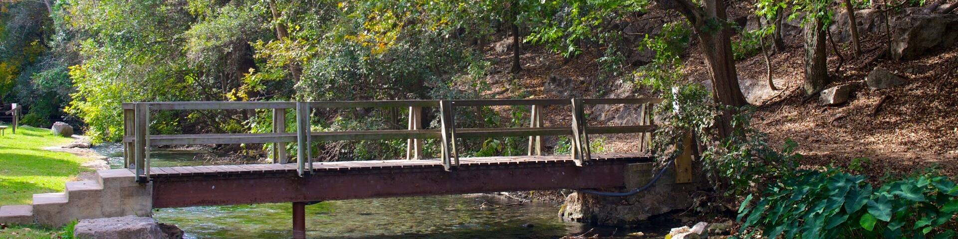 A wooden bridge over a clear stream, surrounded by lush greenery and trees with autumn leaves.