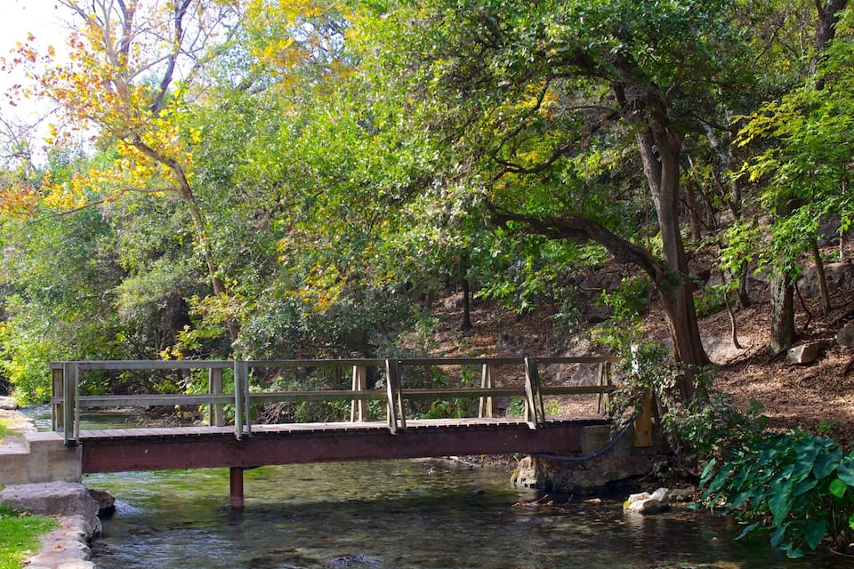 Un pont en bois enjambant un ruisseau aux eaux claires, entouré d’une végétation luxuriante et d’arbres aux feuilles d’automne.